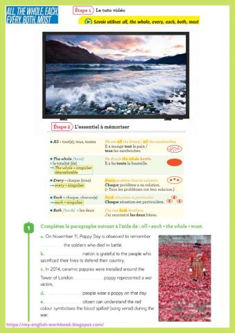Quantifiers -all, whole, both