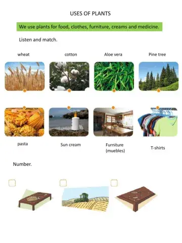 Uses of plants