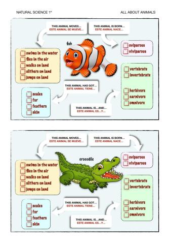 Características de los animales 2