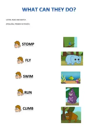 Can, song little bird