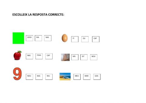Escollim la opció correcta