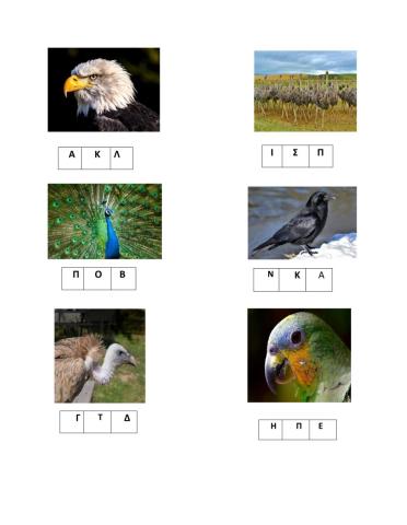Αρχικα γραμματα και πουλια