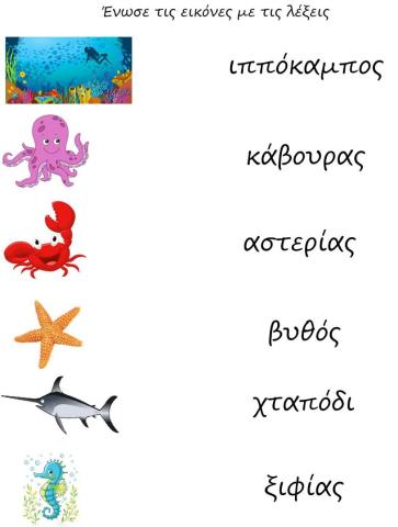 Τα ζώα της θάλασσας