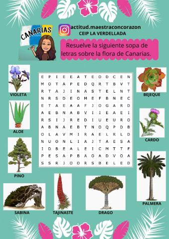Flora canaria