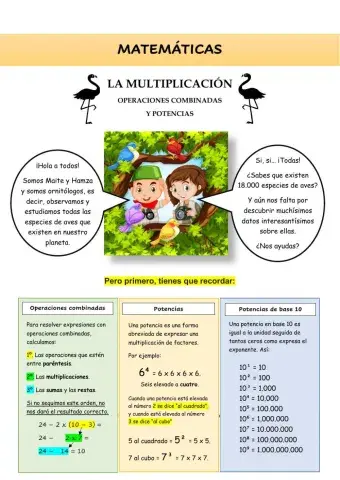 Matemáticas y las aves