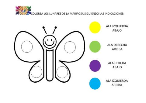 Lateralidad mariposa 1