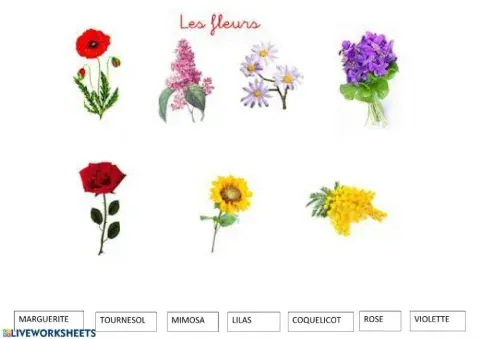 Les fleurs