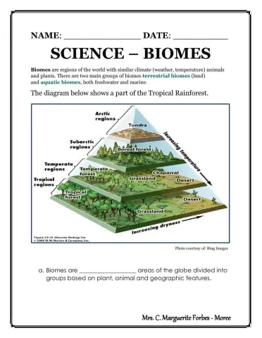 Biomes