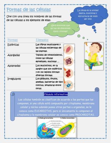 Formas de la célula