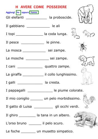 H che significa possedere 3