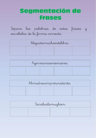 Segementación frases