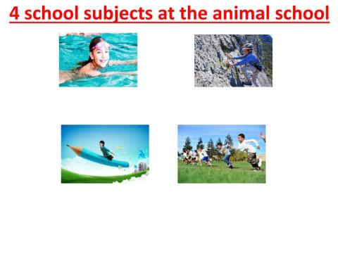 Animal school subjects