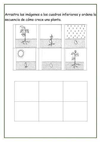 Secuencia de una planta