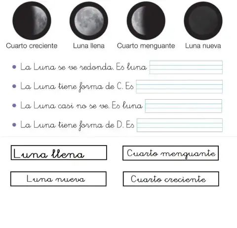 La luna. fases