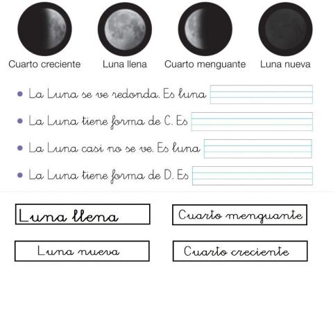 La luna. fases