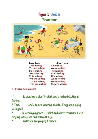 Tiger 3 Unit 6 Grammar