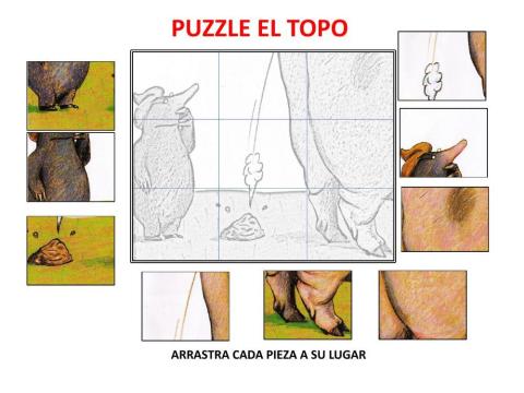 Puzzle topo