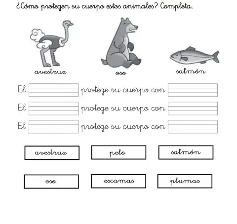 Animales con pelo plumas y escamas