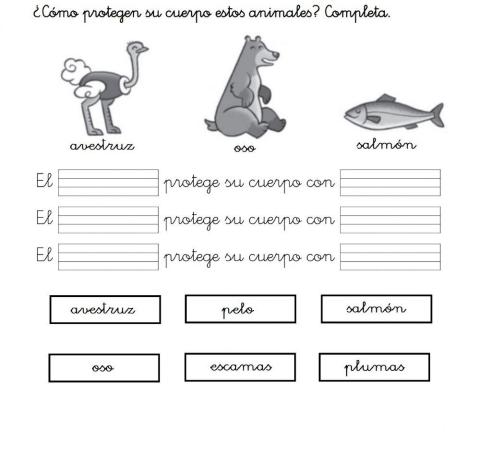 Animales con pelo plumas y escamas