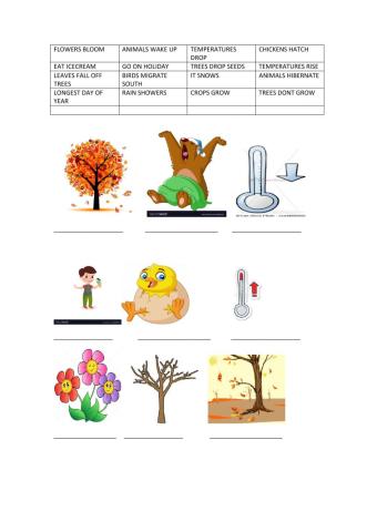 English solutions seasons and changes