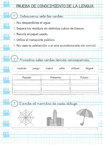 Prueba de conocimiento de la lengua