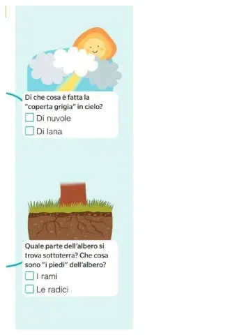 Risposte di pagina 67