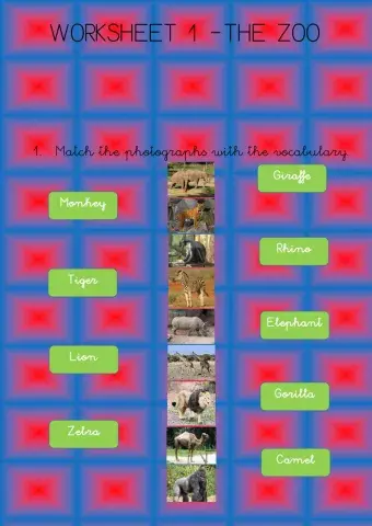 3º - Unit 2 - Worksheet 1 The zoo