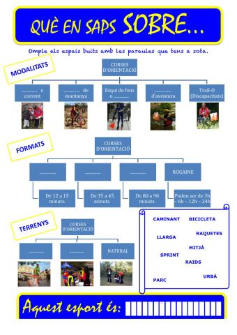 Que saps sobre... Curses d'Orientació 04