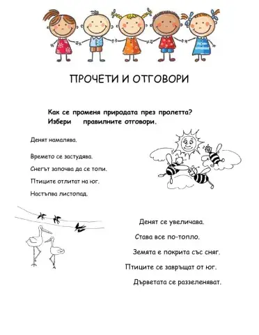 Околен свят