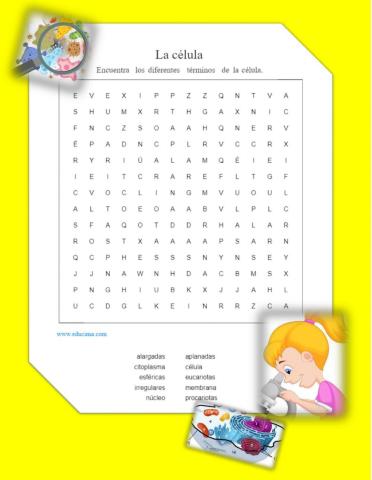 La célula, sopa de letras