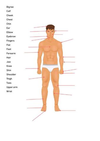 Parts of the Body