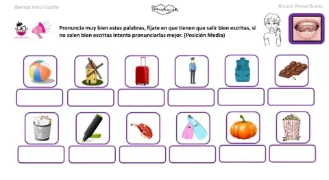 Articulación L media