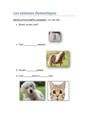 Les animaux domestiques