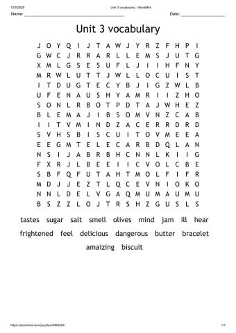 Unit 3 Vocabulary