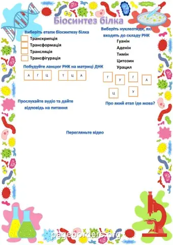 Біосинтез білка