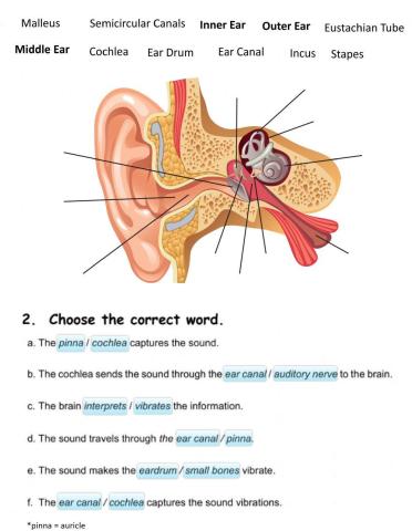 The Auditory Channel