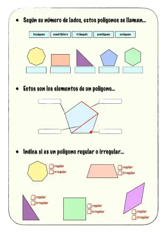 Polígonos 1