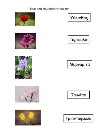 Ονόματα λουλουδιών