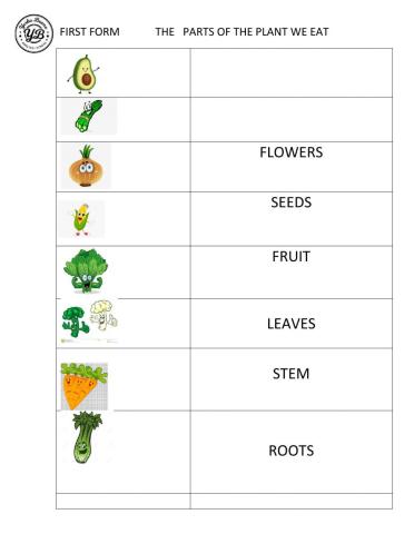 The parts of the plant we eat