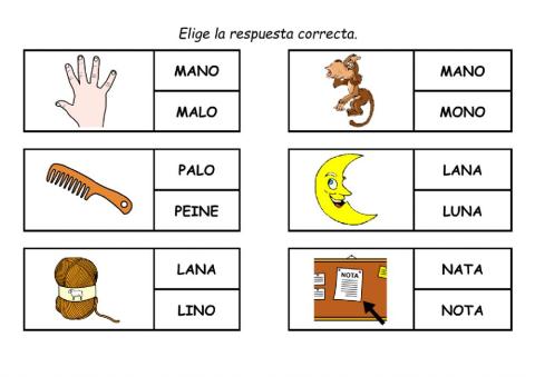 LETRA N: Elegir la palabra correcta