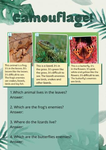 Reading: Animals 3º