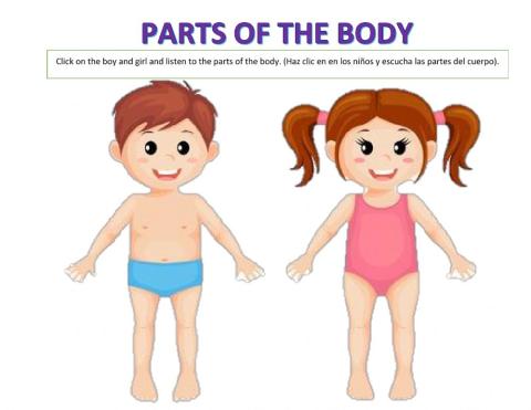 Parts of the body