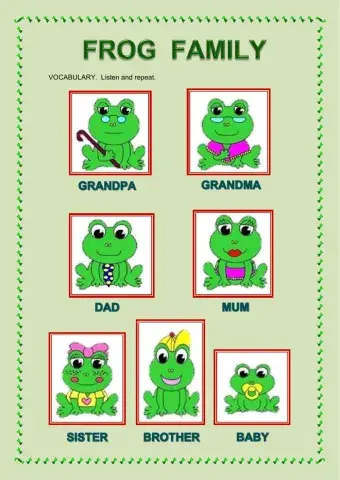 Vocabulary  frog family