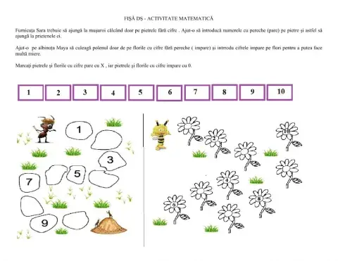 Numere pare și nr. impare