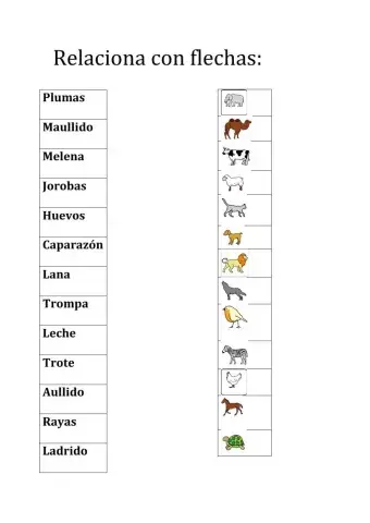 animales 1º