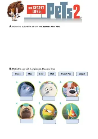 The Secret Life of Pets