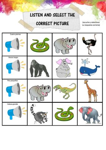 BODY PARTS - BIG SMALL