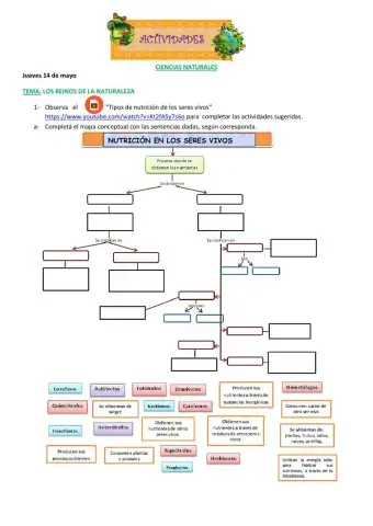 Tipo de Nutrición de los Seres Vivos