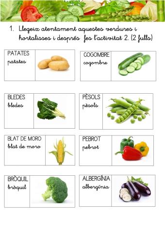 Verdures i hortalisses 2
