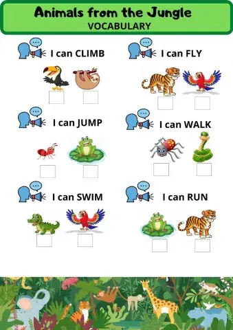 What Can Animals Do?